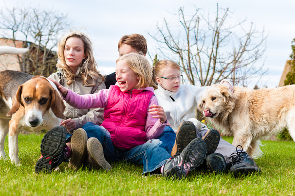 Rodina sedí s psy společně na louce - Fotografie, Obrázek
