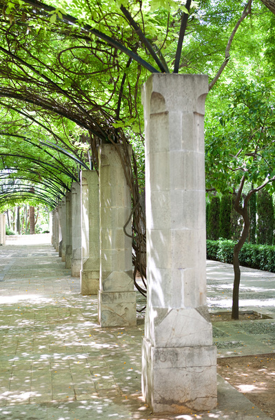 park with old stone columns - Fotografie, Obrázek