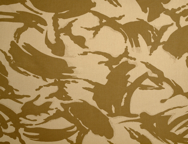 British Army Desert DPM Camouflage - Photo, Image