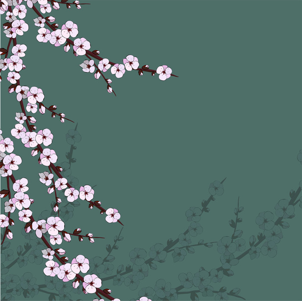 Illustrazione di fiori di ciliegio giapponesi su sfondo rosa
 - Vettoriali, immagini