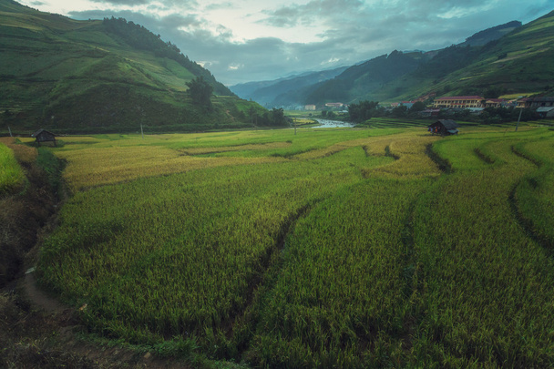 田んぼには、Mu 倉チャイ、Yenbai、ベトナムの棚田。田んぼの準備ベトナム北西部で収穫 - 写真・画像