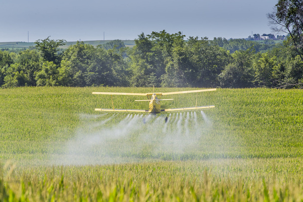 Yellow Crop Duster - Photo, Image