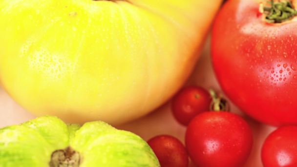 Freshly picked heirloom tomatoes - Footage, Video