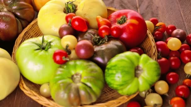 Freshly picked heirloom tomatoes - Footage, Video