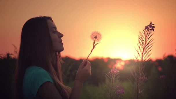 Girl with a dandelion at sunset - Footage, Video