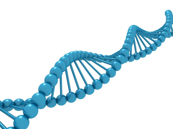 DNA Strands - Photo, Image