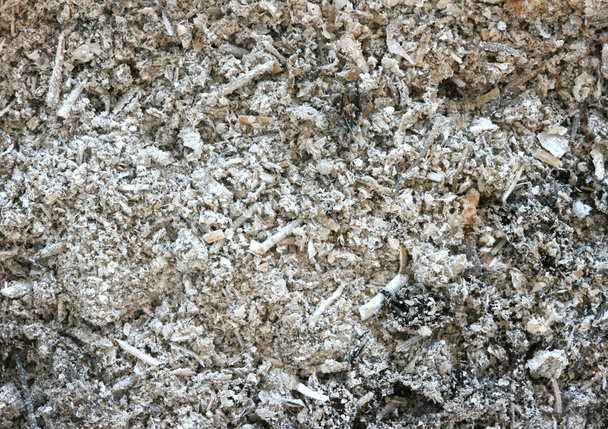 Black grey ash - Photo, Image