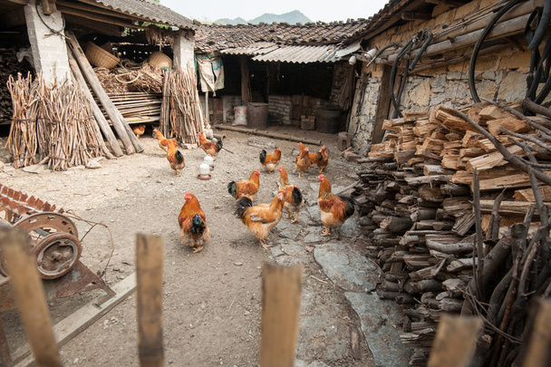 gospodarstwo w wiejskich Chin - Zdjęcie, obraz
