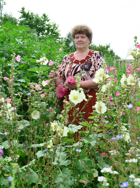 Adult woman standing near blooming mallow - Foto, afbeelding