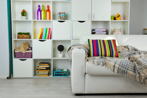 White living room with sofa and bookcase - Fotoğraf, Görsel