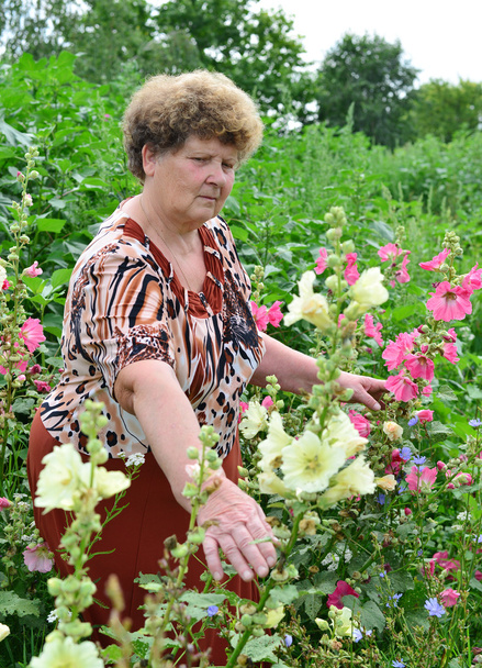 Adult woman standing near blooming mallow - Foto, afbeelding