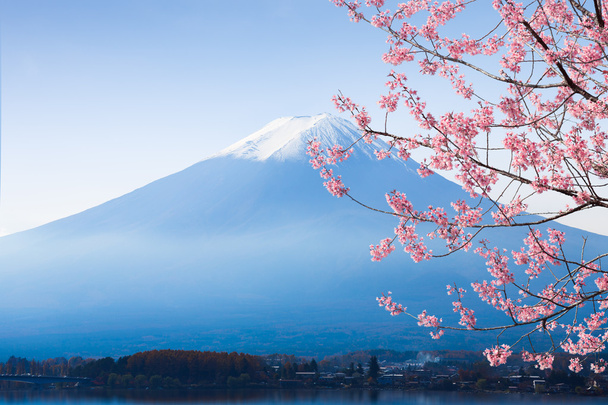 富士山 - 写真・画像