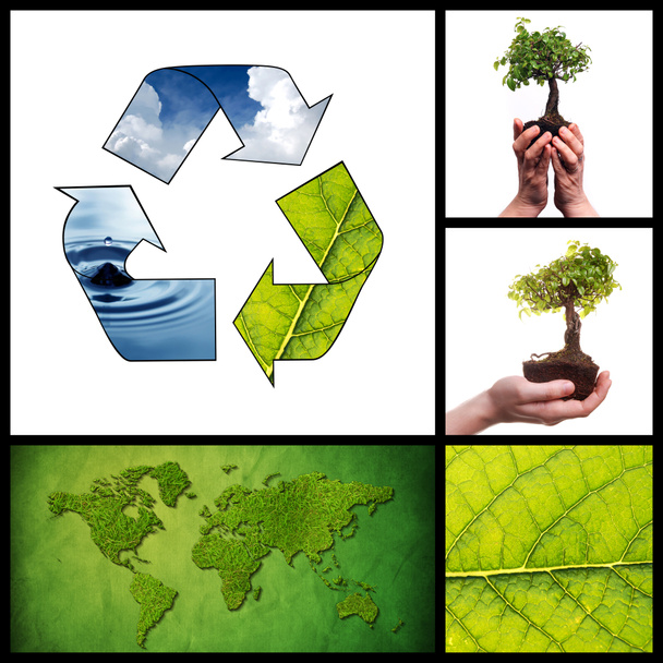 collage ambiental
 - Foto, Imagen