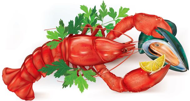 lagosta e mexilhão
 - Vetor, Imagem