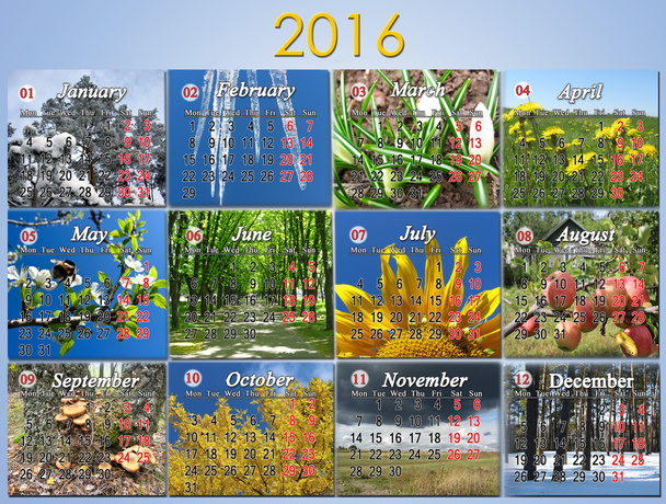 calendar for 2016 in English with photo for every month - Photo, Image