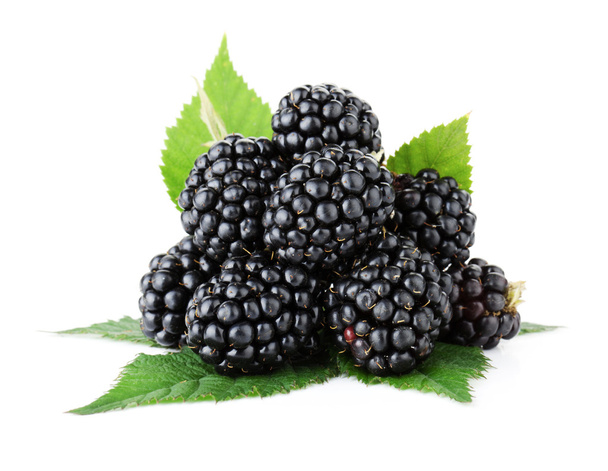 熟したブラックベリーの果実 - 写真・画像