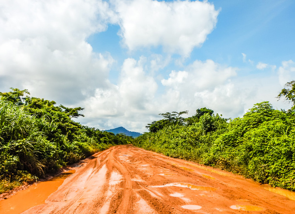 De weg door de jungle na een regenbui. Liberia, West-Afrika - Foto, afbeelding