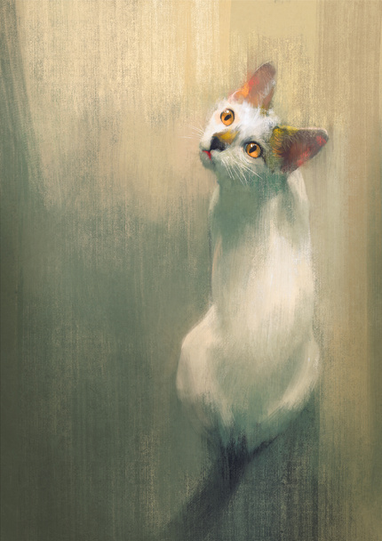 Joven gato blanco mirando hacia arriba
 - Foto, Imagen