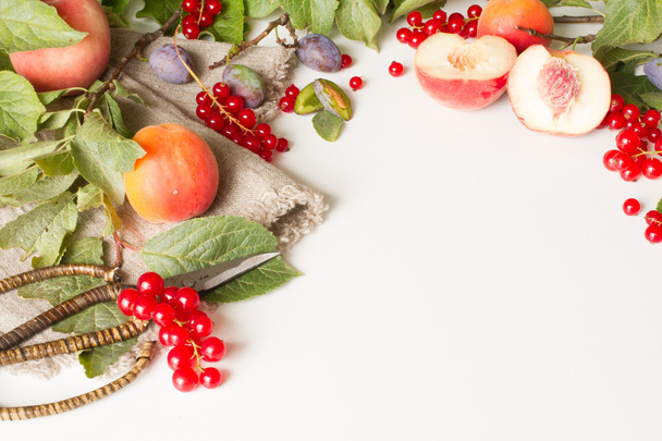 tak met pruimen perziken en abrikozen met schaar en rood cur - Foto, afbeelding