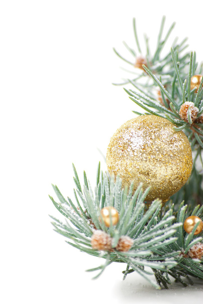 Christmas decorations with branch of tree on white - Valokuva, kuva