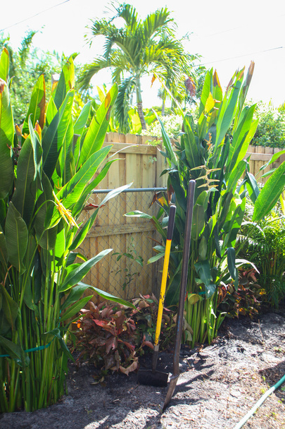 Florida landscaping and yard work - Photo, Image