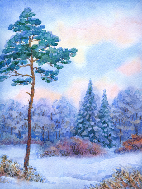 Paisagem aquarela. Pinheiro alto na floresta de inverno
 - Foto, Imagem