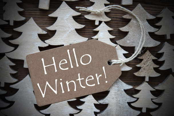 Etiqueta de Navidad marrón con Hello Winter
 - Foto, imagen