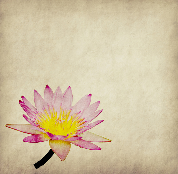 a Lotus absztrakt festett háttér beállítása - Fotó, kép