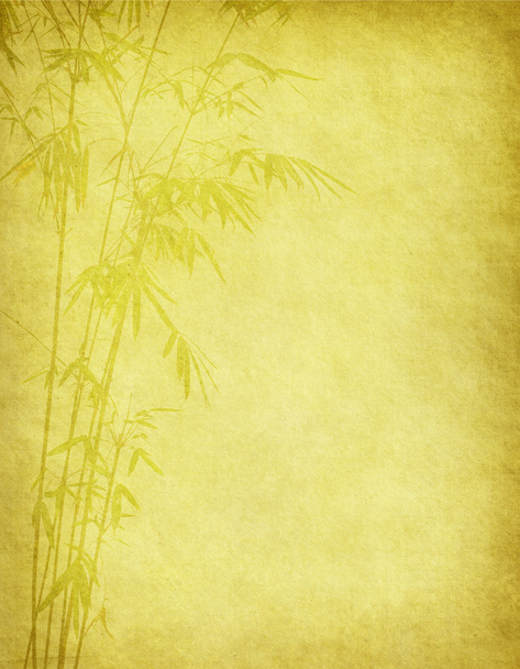 bambù su vecchia grunge carta antica texture - Foto, immagini