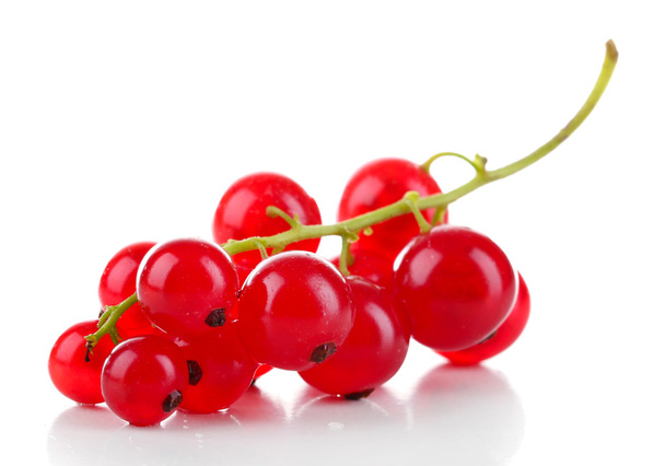 Branch of red currant isolated on white - Foto, Imagen