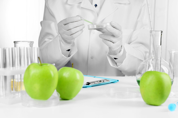 Scientist examines apples in laboratory - Foto, Imagem