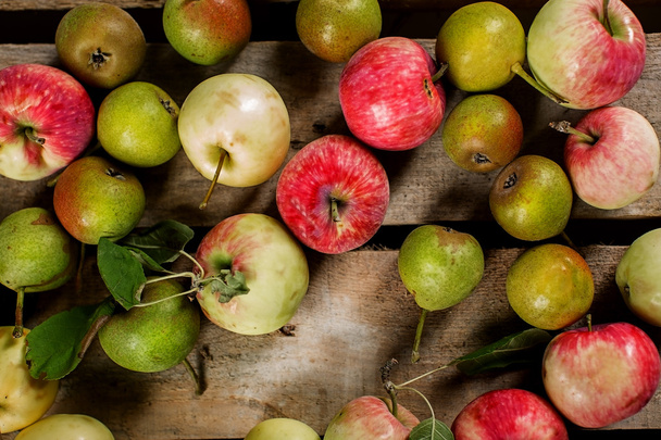 Manzanas y peras rurales
 - Foto, imagen
