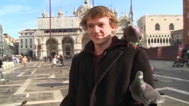 People feed the pigeons at St. Mark's Square - Materiał filmowy, wideo