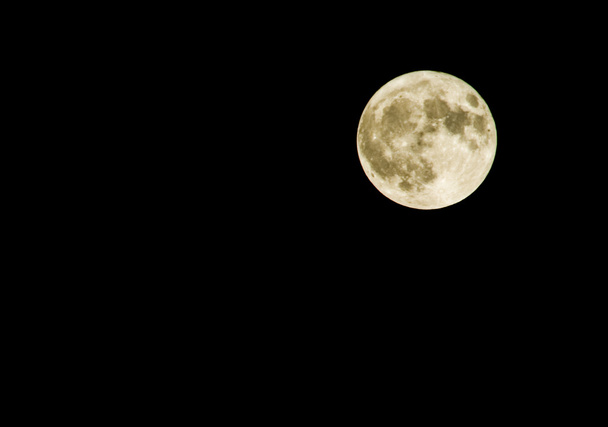Full moon in summer - Photo, Image