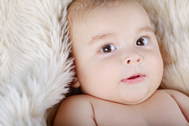 cute baby portrait lying on fur - 写真・画像