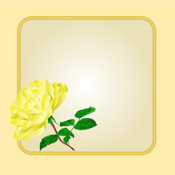 Golden frame with  yellow rose vector - Vetor, Imagem