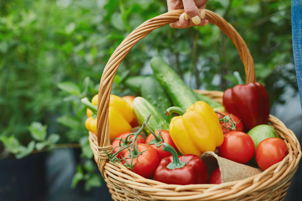 Kosz pełen pomidory, ogórki i papryka - Zdjęcie, obraz