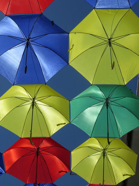 Umbrellas - Photo, Image
