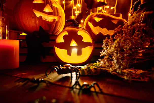Halloween loma symbolit
 - Valokuva, kuva