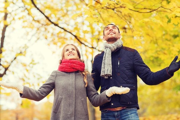 smiling couple looking up in autumn park - 写真・画像