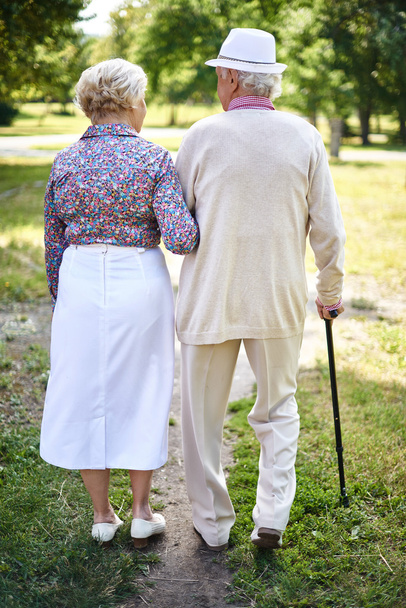 senior couple walking in park - Photo, Image