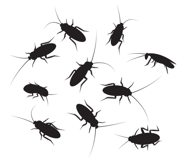 Aantal zwarte silhouet kakkerlak met detail, geïsoleerd op wit - Vector, afbeelding