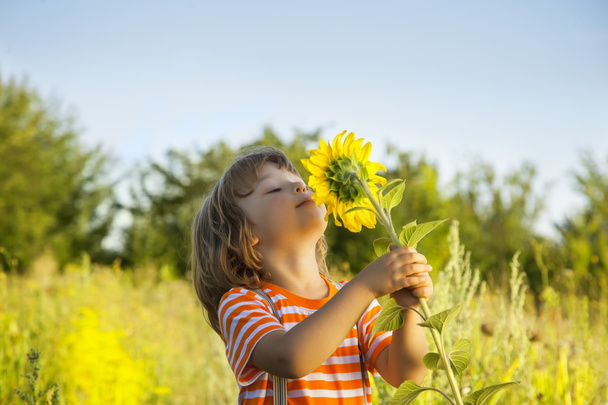 Onnellinen poika auringonkukan kanssa
 - Valokuva, kuva