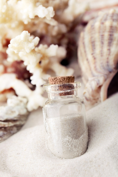 Beautiful seashells on sand - Фото, зображення