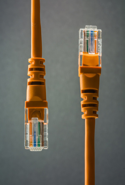 LAN connection orange plastic connector isolated on black background - Photo, Image