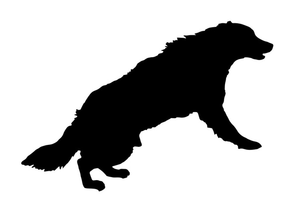 silhouette nera di un cane. - Vettoriali, immagini