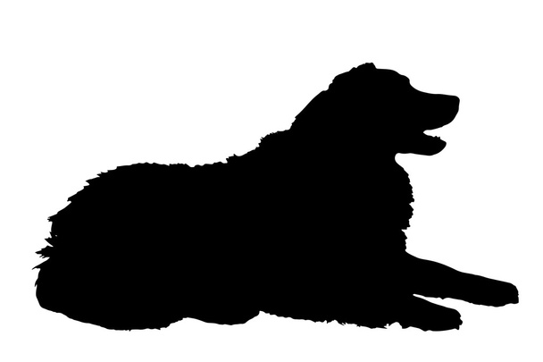 silhouette nera di un cane. - Vettoriali, immagini