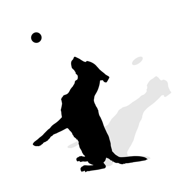 Black silhouette of a dog. - Vector, Image