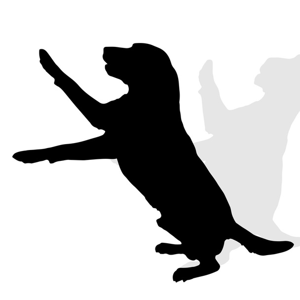 Black silhouette of a dog. - Vector, Image