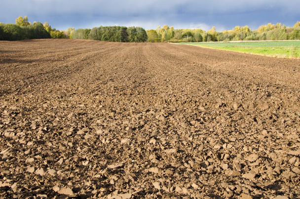Plowed agricultural field surrounded by forest. - Foto, imagen
